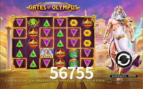 Interface Premium 56755